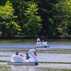 Paddle boating